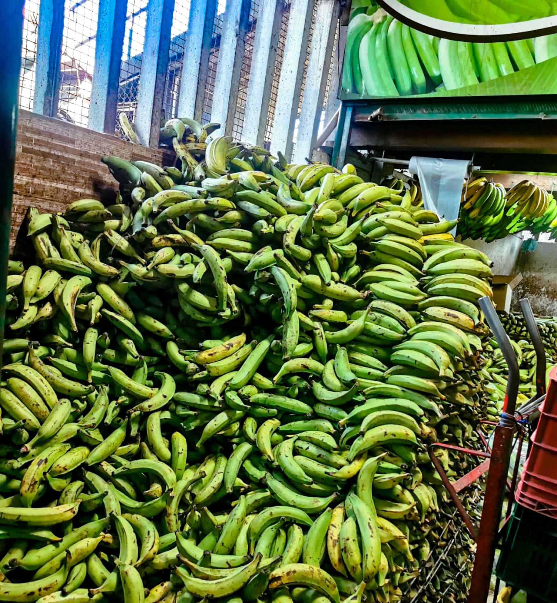 Tour De Frutas 3 Tour De Frutas 3